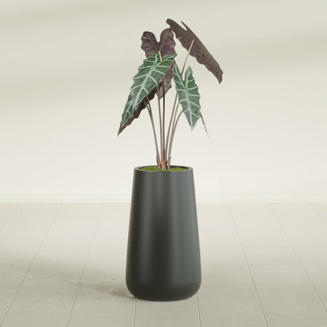 Saigon Tapered Round fiberglass planter in Matte Charcoal, shown planted, in a sunlit interior