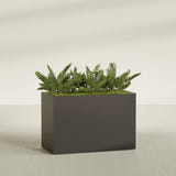 Brisbane Corner fiberglass planter in Matte Dark Brown, shown planted, in a sunlit interior
