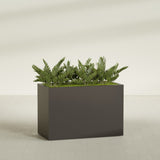 Brisbane Rectangular fiberglass planter in Matte Dark Brown, shown planted, in a sunlit interior