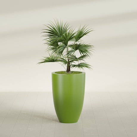 Brannan Tapered Round fiberglass planter in Satin Green, planted, in a sunlit interior