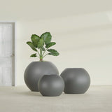 Globe fiberglass planter in Matte Gunmetal, size range, in a sunlit interior