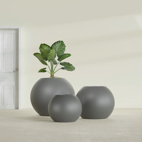 Globe fiberglass planter in Matte Gunmetal, size range, in a sunlit interior