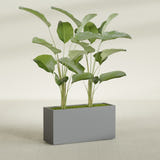 Tolga Rectangular fiberglass planter in Matte Gunmetal, shown planted, in a sunlit interior