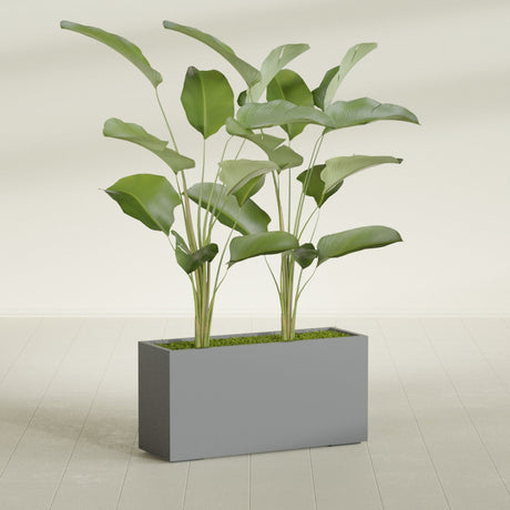 Tolga Rectangular fiberglass planter in Matte Gunmetal, shown planted, in a sunlit interior