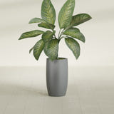 Lisbon Tall Round fiberglass planter in Matte Gunmetal, shown planted, in a sunlit interior