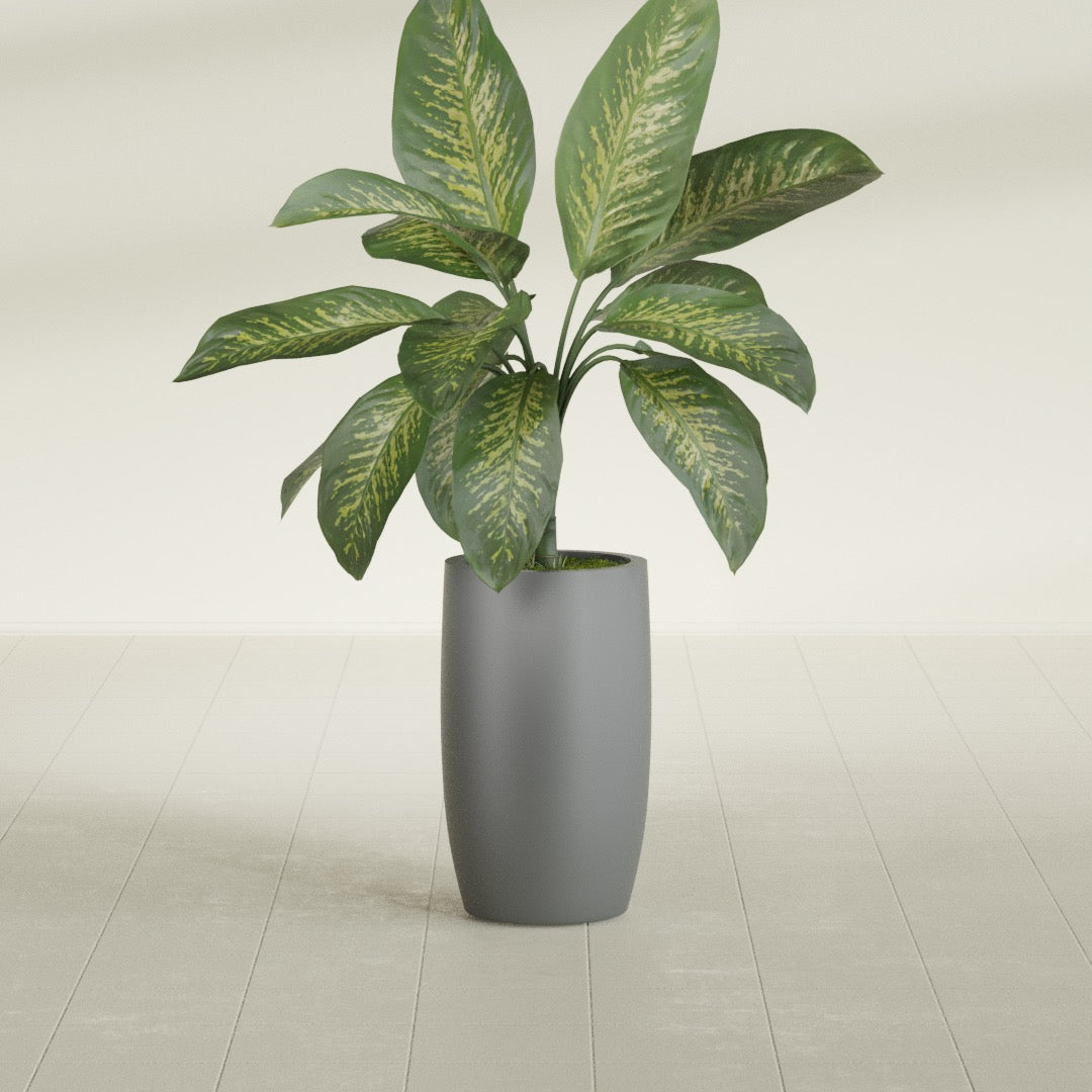 Lisbon Tall Round fiberglass planter in Matte Gunmetal, shown planted, in a sunlit interior