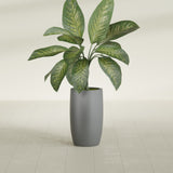 Lisbon Tall Round fiberglass planter in Matte Gunmetal, shown planted, in a sunlit interior