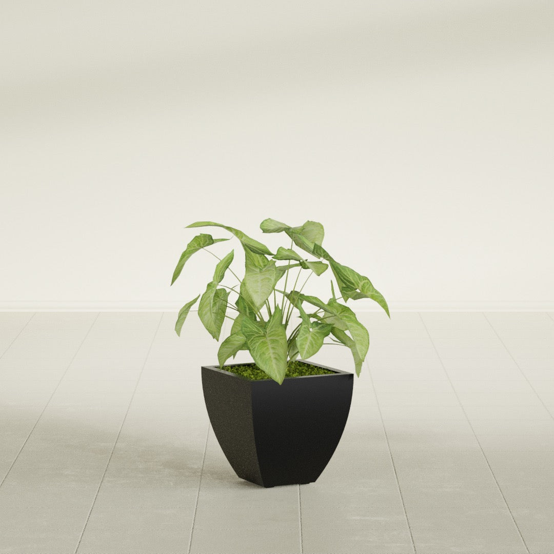 Lima Tapered Square fiberglass planter in Matte Black, shown planted, in a sunlit interior