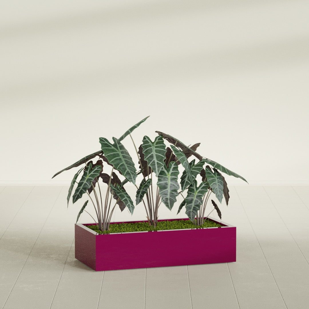 Antwerp Rectangular fiberglass planter in Gloss Eggplant, shown planted, in a sunlit interior