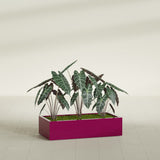 Antwerp Rectangular fiberglass planter in Gloss Eggplant, shown planted, in a sunlit interior