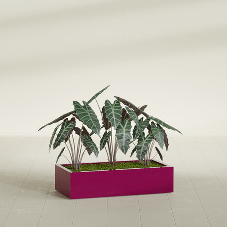 Antwerp Rectangular fiberglass planter in Gloss Eggplant, shown planted, in a sunlit interior