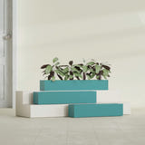Salon Box fiberglass planter in Satin Seafoam Green, size range, in a sunlit interior