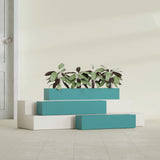 Salon Box fiberglass planter in Satin Seafoam Green, size range, in a sunlit interior