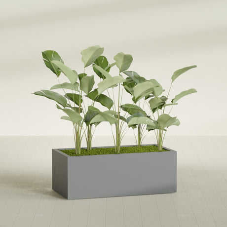 Torino Wide Rectangular fiberglass planter in Matte Gunmetal, shown planted, in a sunlit interior