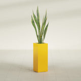 Perth Corner fiberglass planter in Gloss Saffron, planted, in a sunlit interior