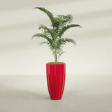 San Jose Tall Fluted fiberglass planter in Gloss Red, shown planted, in a sunlit interior