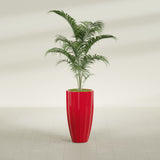 San Jose Tall Fluted fiberglass planter in Gloss Red, shown planted, in a sunlit interior