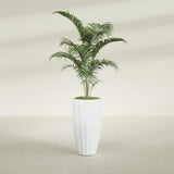 San Jose Tall Fluted fiberglass planter in Matte Bright White, shown planted, in a sunlit interior