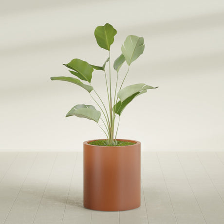 Rio Grande Cylinder fiberglass planter in Matte Terra Cotta, shown planted, in a sunlit interior