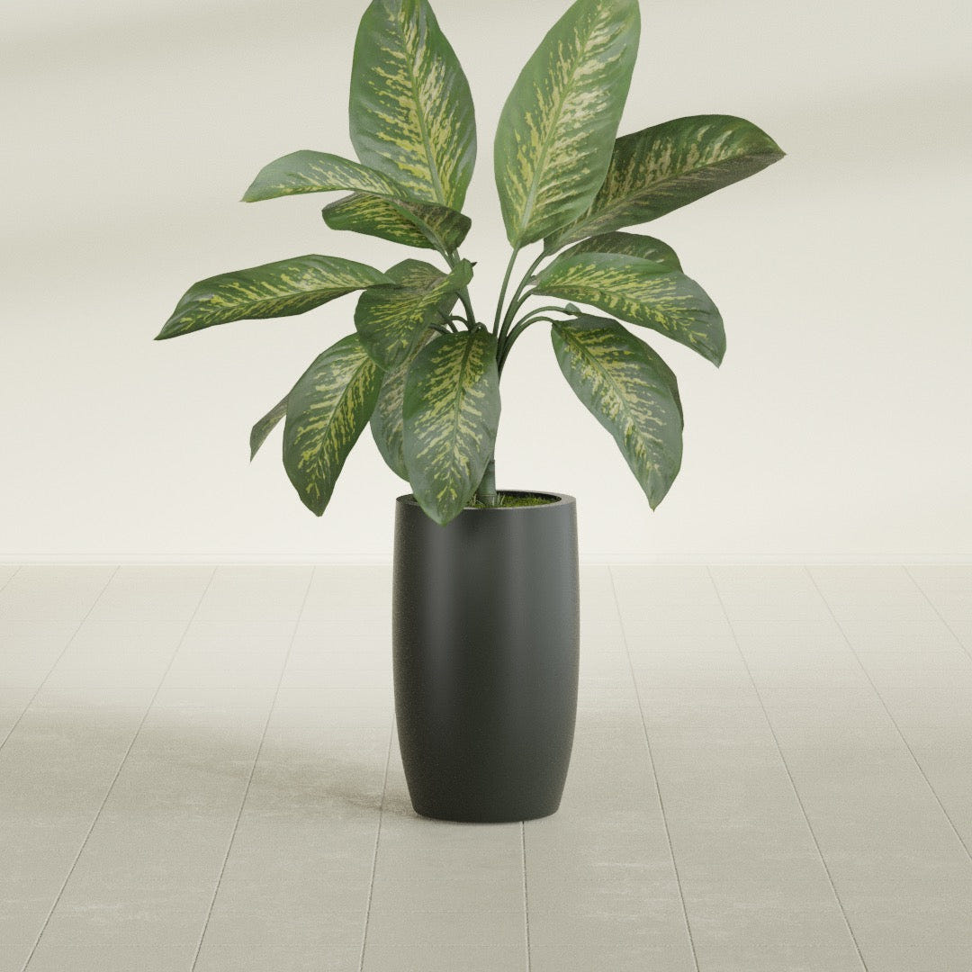 Lisbon Tall Round fiberglass planter in Matte Charcoal, shown planted, in a sunlit interior