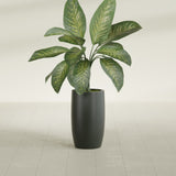 Lisbon Tall Round fiberglass planter in Matte Charcoal, shown planted, in a sunlit interior