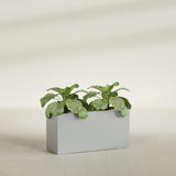 Miami Narrow Rectangular fiberglass planter in Metallic Silver, shown planted, in a sunlit interior