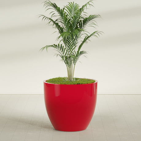 Wannsee Round fiberglass planter in Gloss Red, shown planted, in a sunlit interior