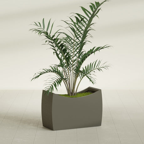 Seoul Curved fiberglass planter in Matte Bronze, shown planted, in a sunlit interior