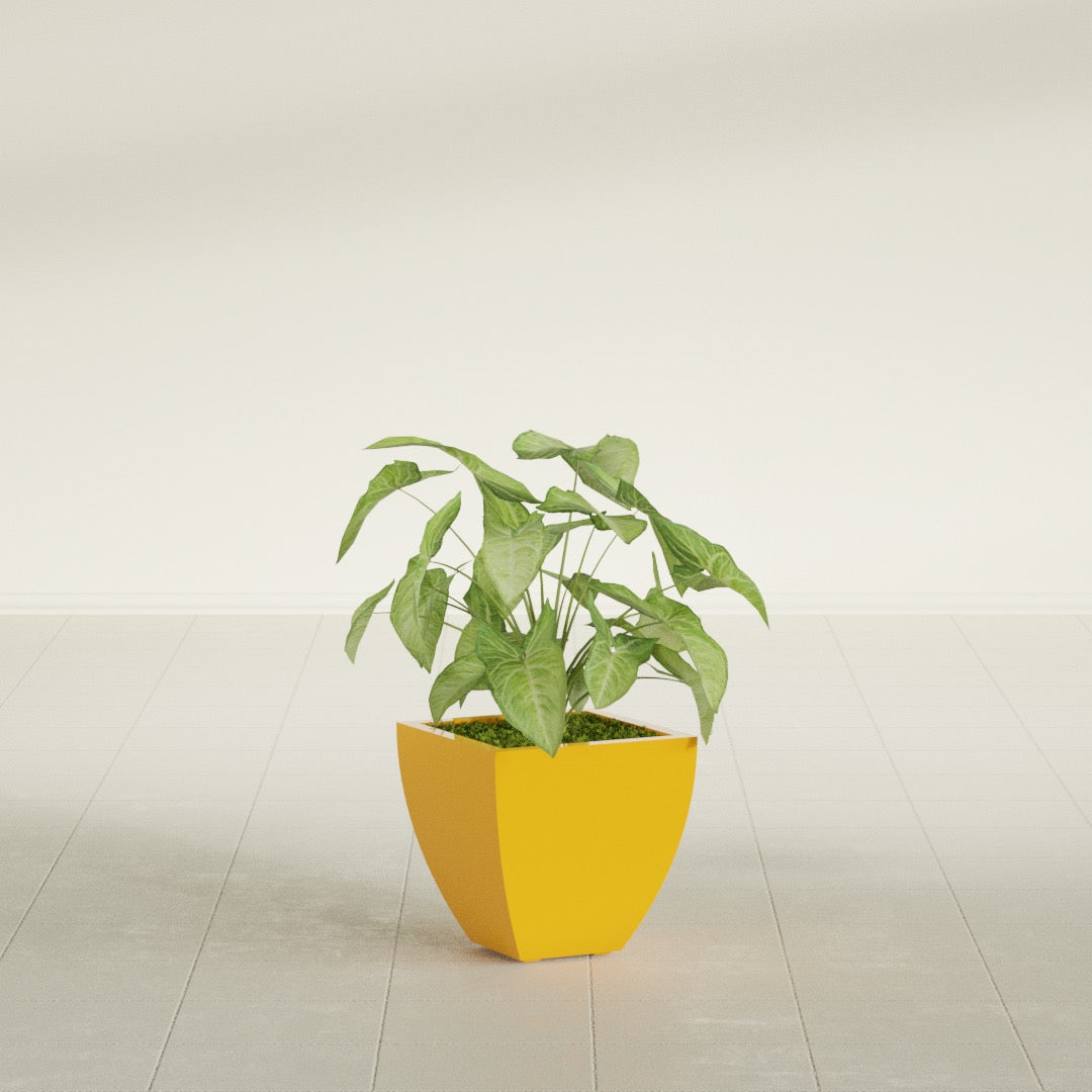 Lima Tapered Square fiberglass planter in Gloss Saffron, shown planted, in a sunlit interior