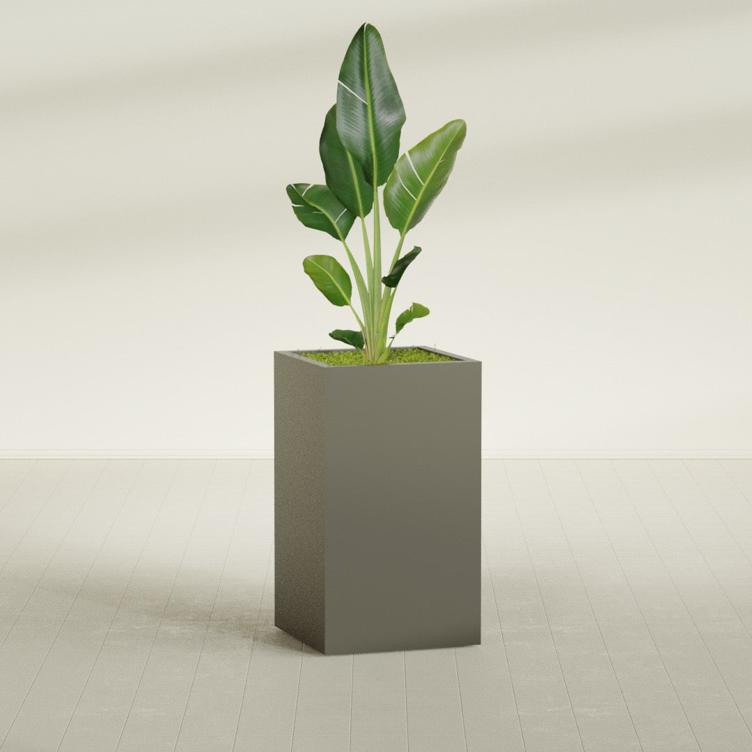Darwin Corner fiberglass planter in Matte Bronze, shown planted, in a sunlit interior