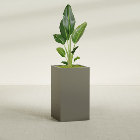 Darwin Rectangular fiberglass planter in Matte Bronze, shown planted, in a sunlit interior