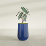 Hayden Urn fiberglass planter in Matte Cobalt Blue, shown planted, in a sunlit interior