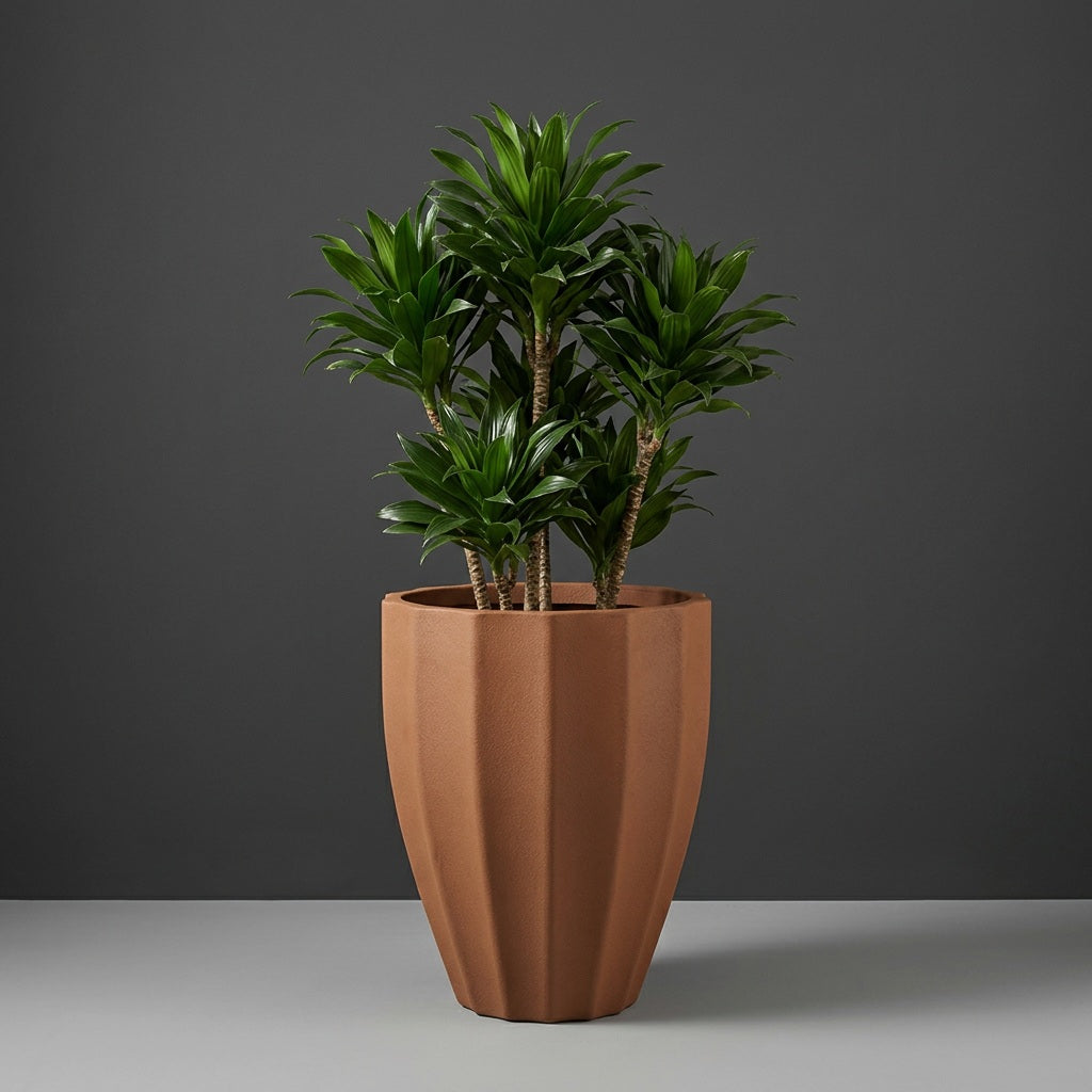 Alicante Fluted fiberglass planter in Metallic Bronze, planted with single dracaena on woody canes, studio