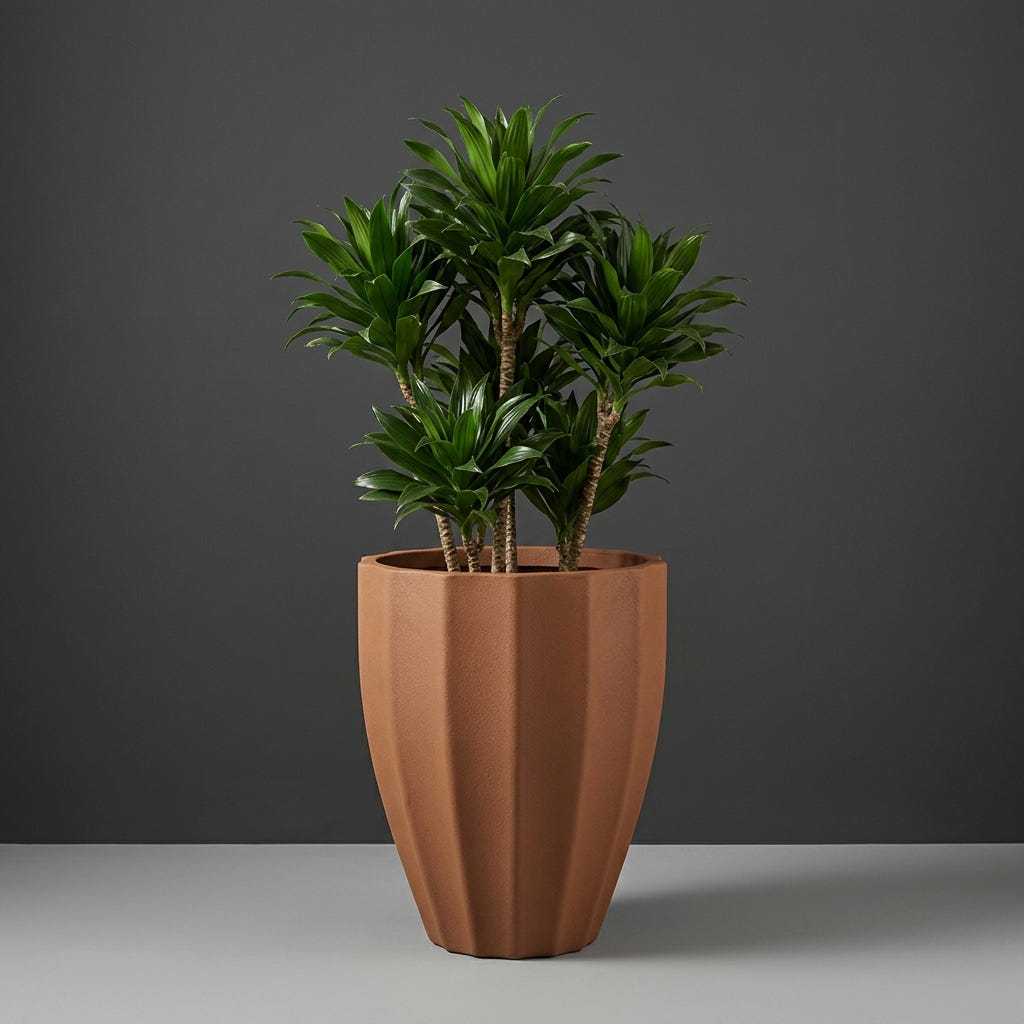 Alicante Fluted fiberglass planter in Metallic Bronze, planted with single dracaena on woody canes, studio