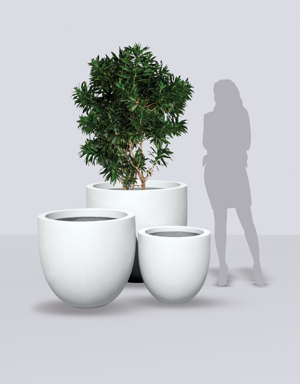 Alzira Bowl fiberglass planter size range shown to scale beside a standing figure