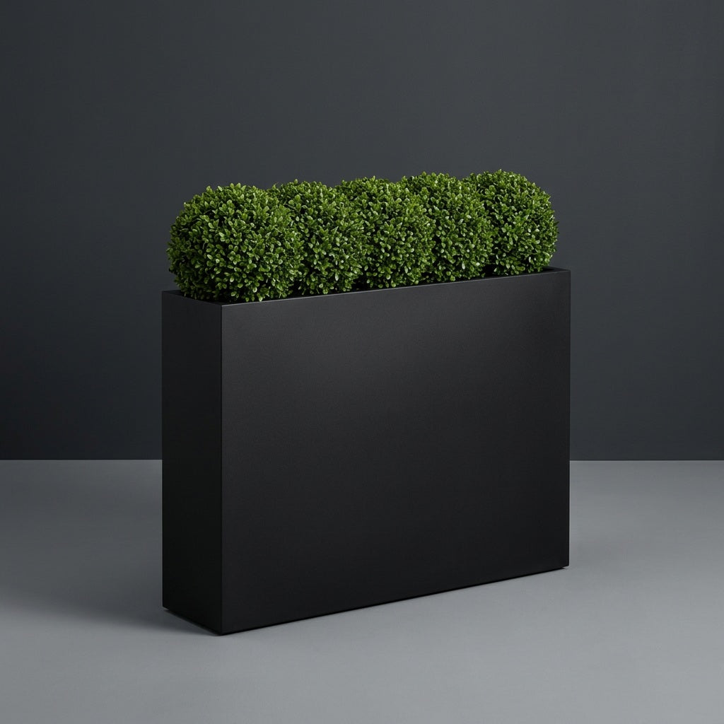 Amesbury Narrow Rectangular fiberglass planter in Matte Black, planted with row of clipped boxwood balls, studio