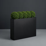 Amesbury Narrow Rectangular fiberglass planter in Matte Black, planted with row of clipped boxwood balls, studio