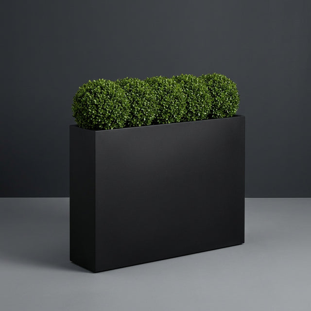 Amesbury Narrow Rectangular fiberglass planter in Matte Black, planted with row of clipped boxwood balls, studio