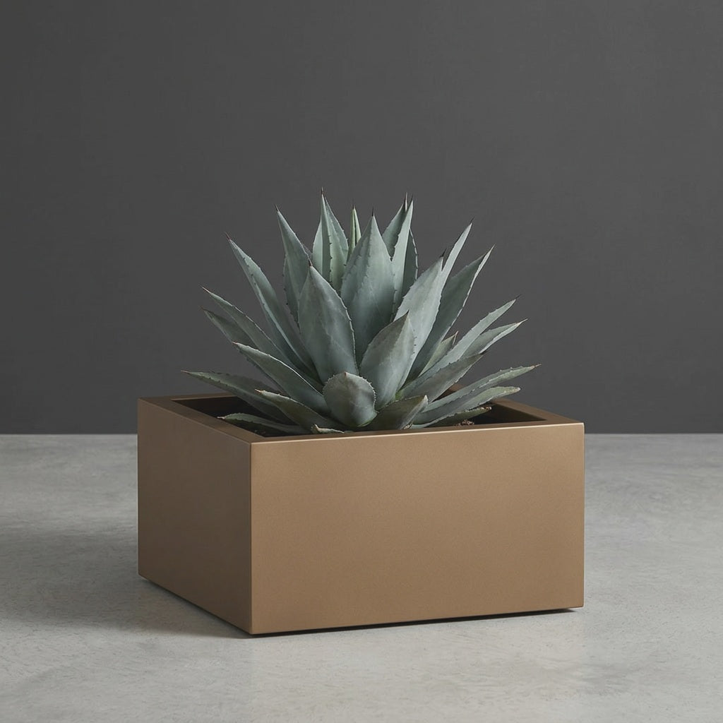 Antwerp Corner fiberglass planter in Matte Bronze, planted with blue-grey agave, studio