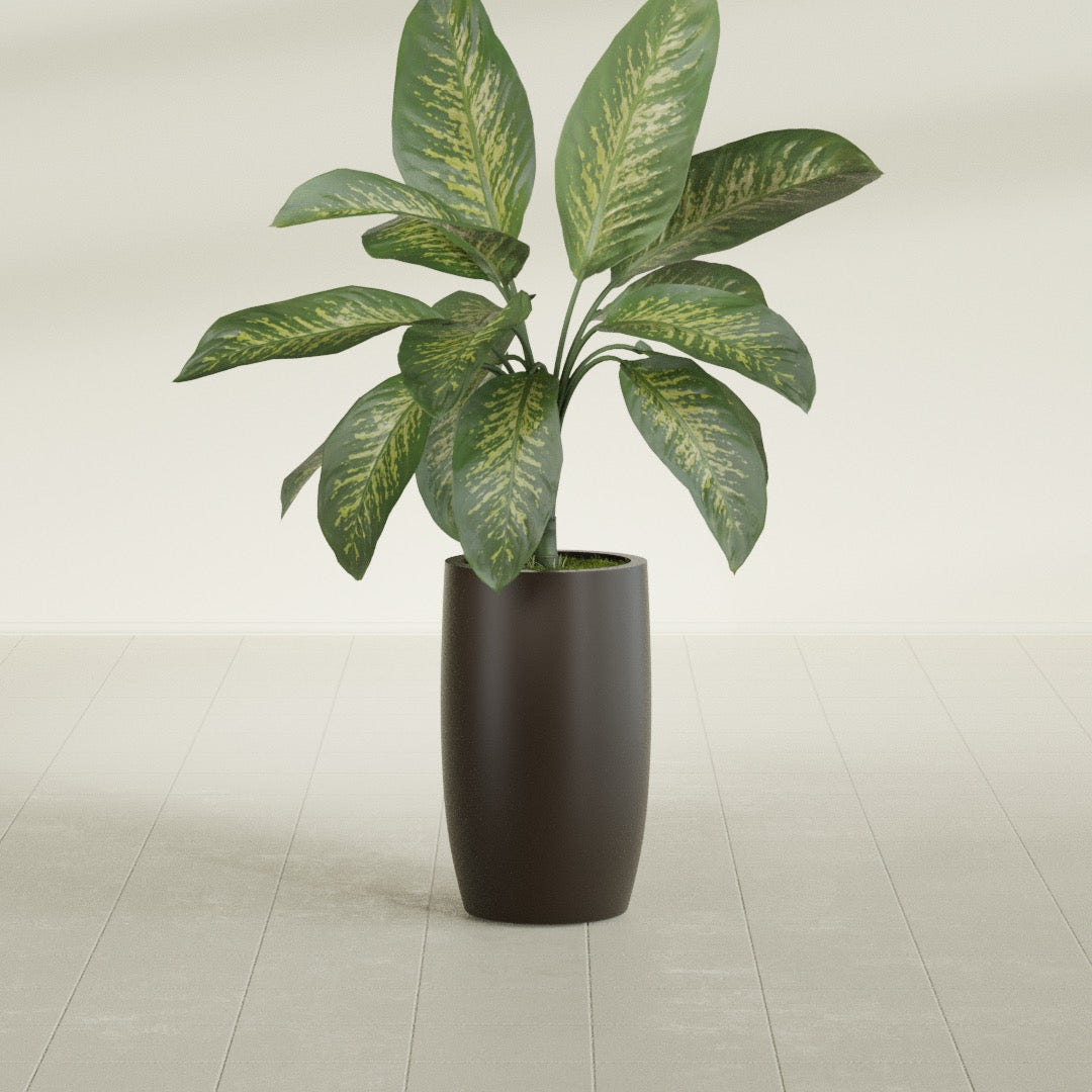 Lisbon Tall Round fiberglass planter in Matte Dark Brown, shown planted, in a sunlit interior