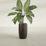 Lisbon Tall Round fiberglass planter in Matte Dark Brown, shown planted, in a sunlit interior