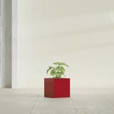 Monaco Cube fiberglass planter in Gloss Red, shown planted, in a sunlit interior