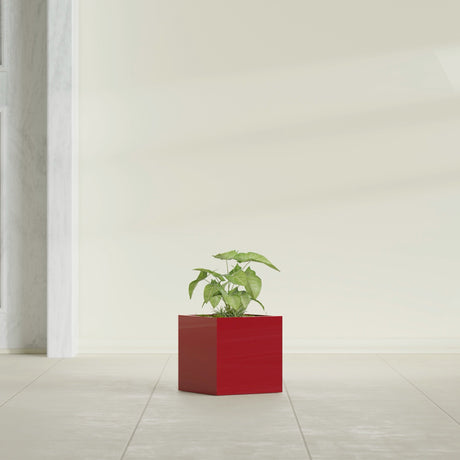 Monaco Cube fiberglass planter in Gloss Red, shown planted, in a sunlit interior