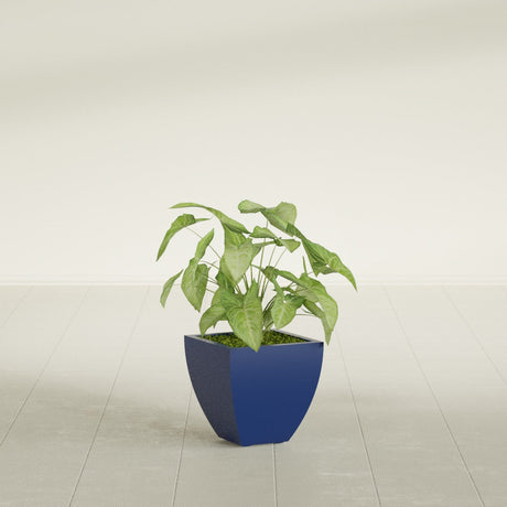Lima Tapered Square fiberglass planter in Matte Cobalt Blue, shown planted, in a sunlit interior