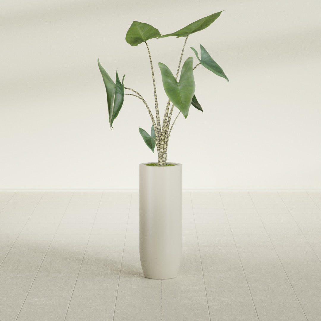 Saint Tropez Bullet Round fiberglass planter in Satin Beige, shown planted, in a sunlit interior