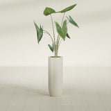 Saint Tropez Bullet Round fiberglass planter in Satin Beige, shown planted, in a sunlit interior
