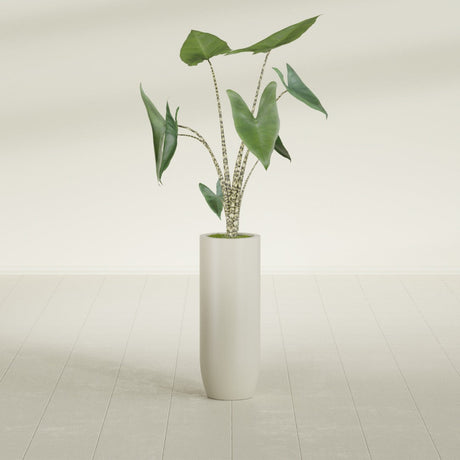 Saint Tropez Bullet Round fiberglass planter in Satin Beige, shown planted, in a sunlit interior