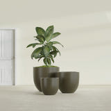 Alzira Bowl fiberglass planter in Matte Bronze, size range, in a sunlit interior