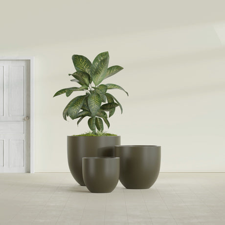 Alzira Bowl fiberglass planter in Matte Bronze, size range, in a sunlit interior