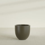 Alzira Bowl Planter in Matte Bronze, 30"D × 28"H, shown empty